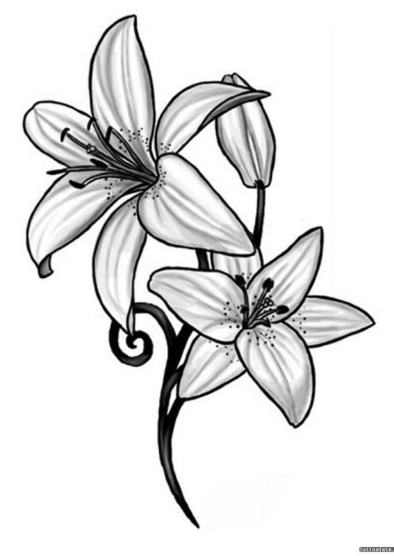 Эскизы тату с лилией