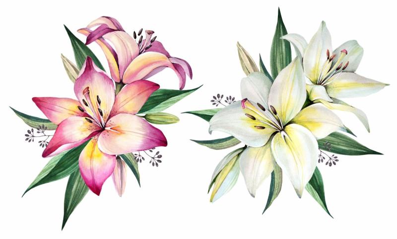 Пейзаж с лилиями вектор чёрно белые