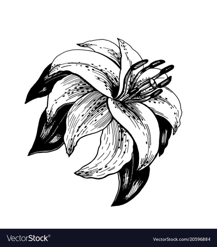 Декоративная композиция с лилиями