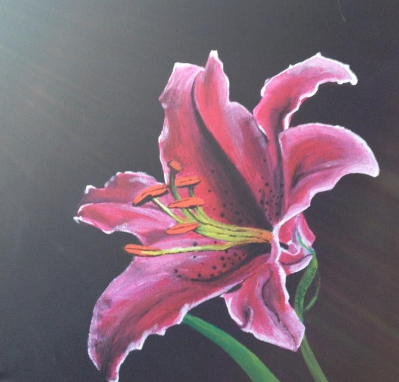 Лилии рисунок