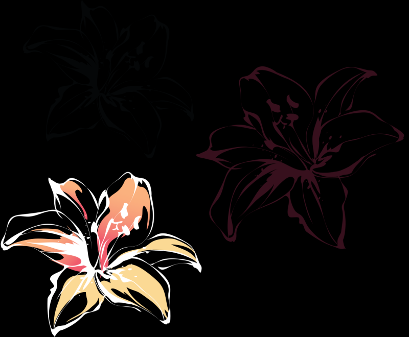 Как нарисовать лилию в иллюстраторе