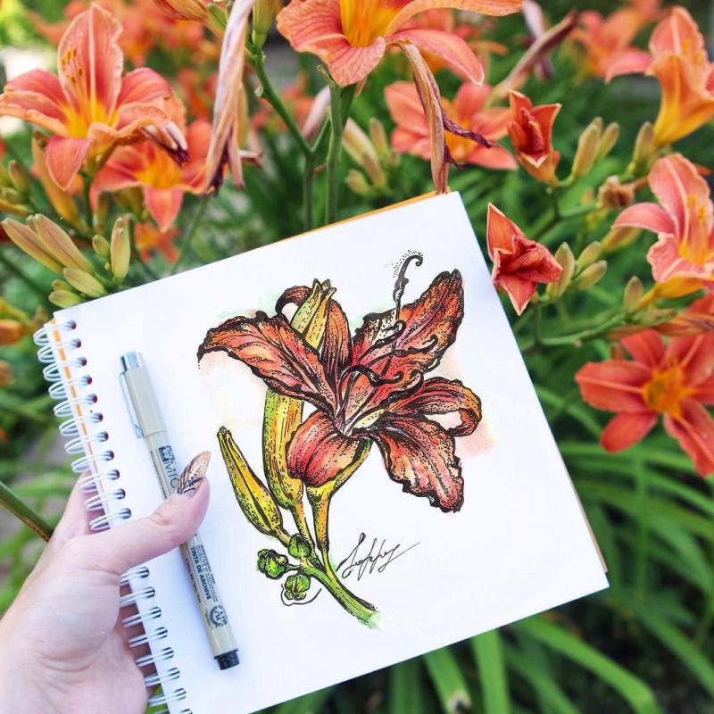 Лилия белая с черным контуром