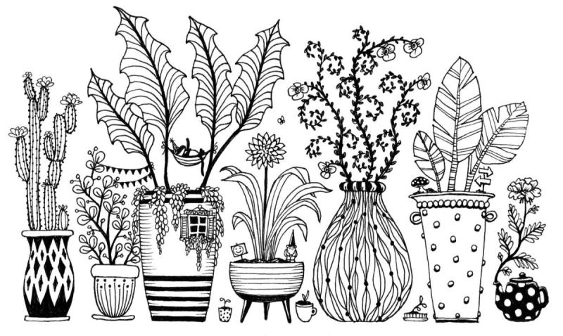 Комнатные растения Графика