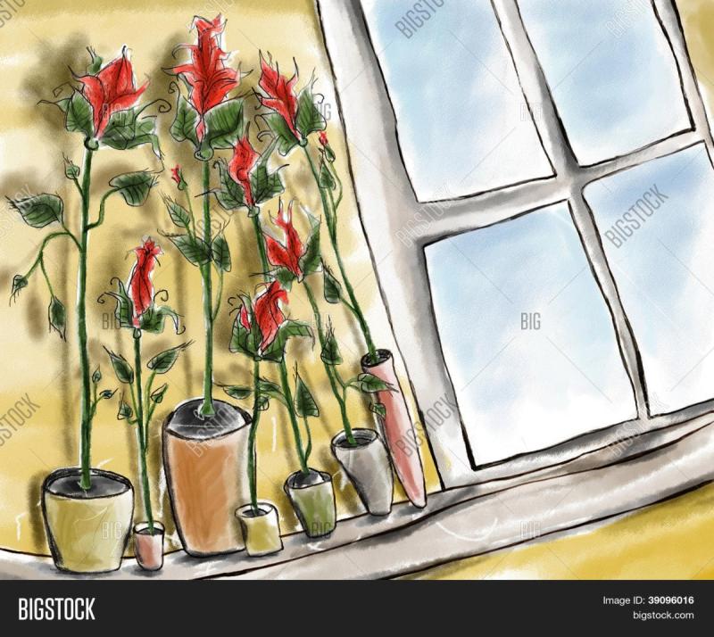Отрисовки подоконник с цветами