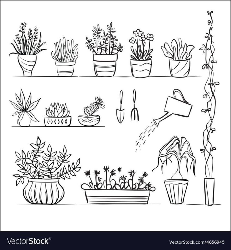 Растение в горшке контур