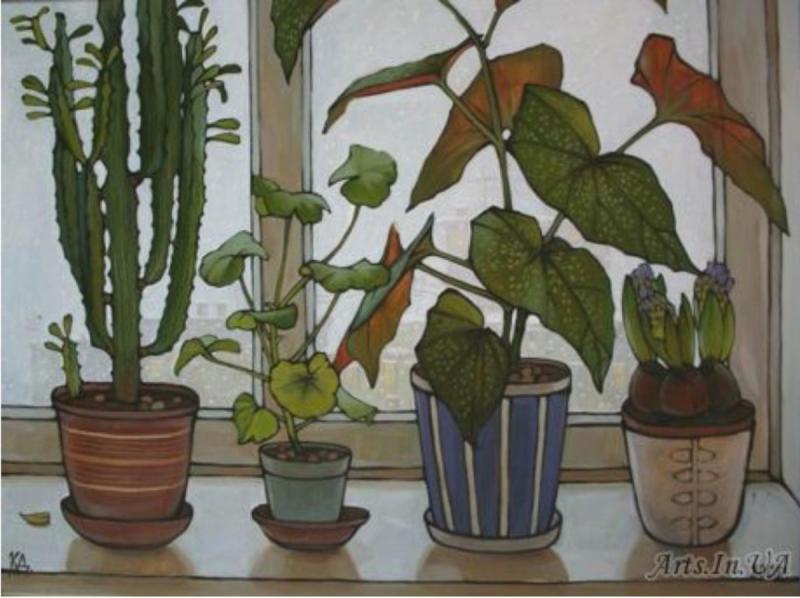 Дина Калинкина кактусы