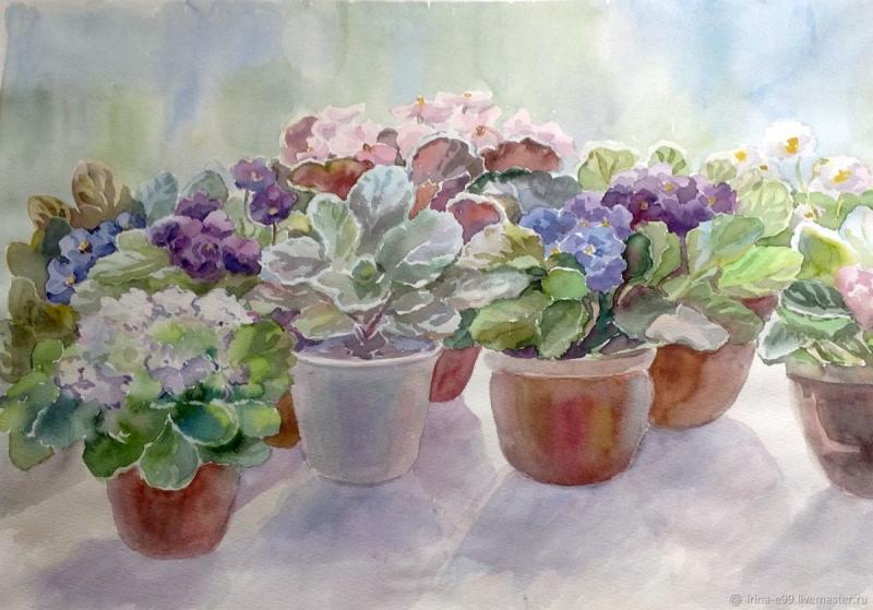 Сенполия акварель