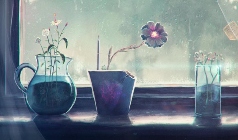 Растения на подоконнике арт