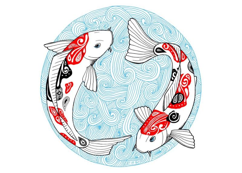 Карпы кои Инь и Янь