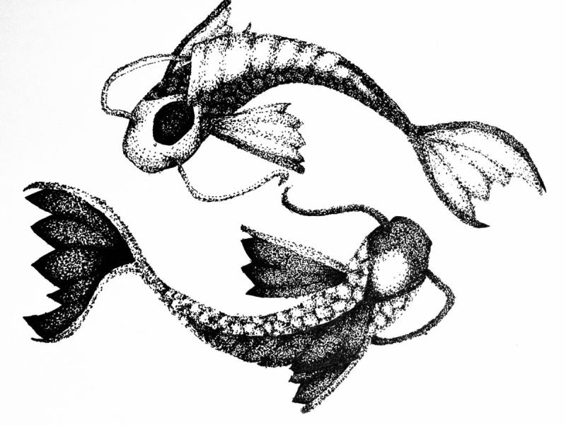 Знак зодиака рыбы Инь Янь