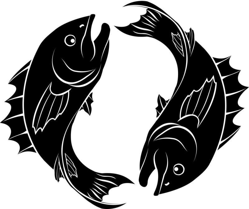 Карп кои гравюра