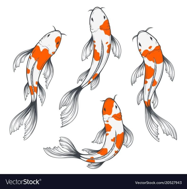 Тату рыбы Инь Янь