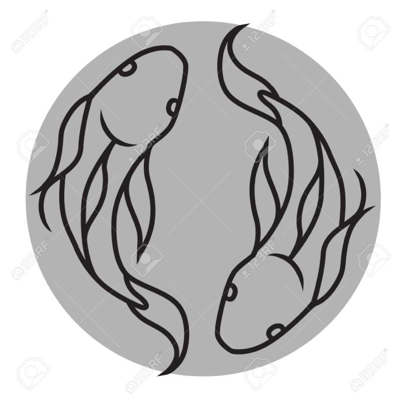 Тату рыбы Инь Янь