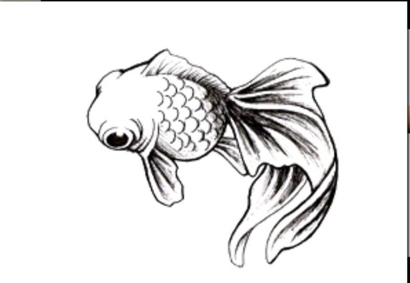 Японский Карп тату Инь Янь