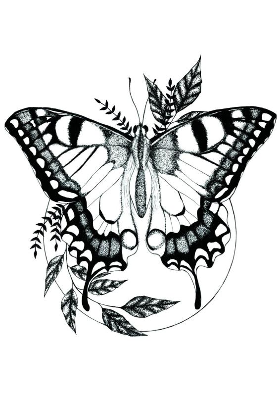 Бабочка тату черно белая