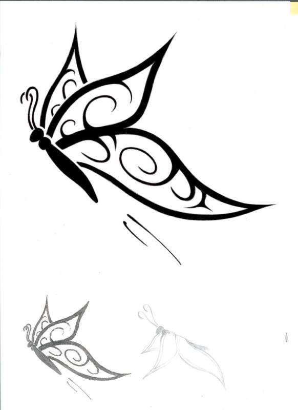 Тату бабочки карандашом