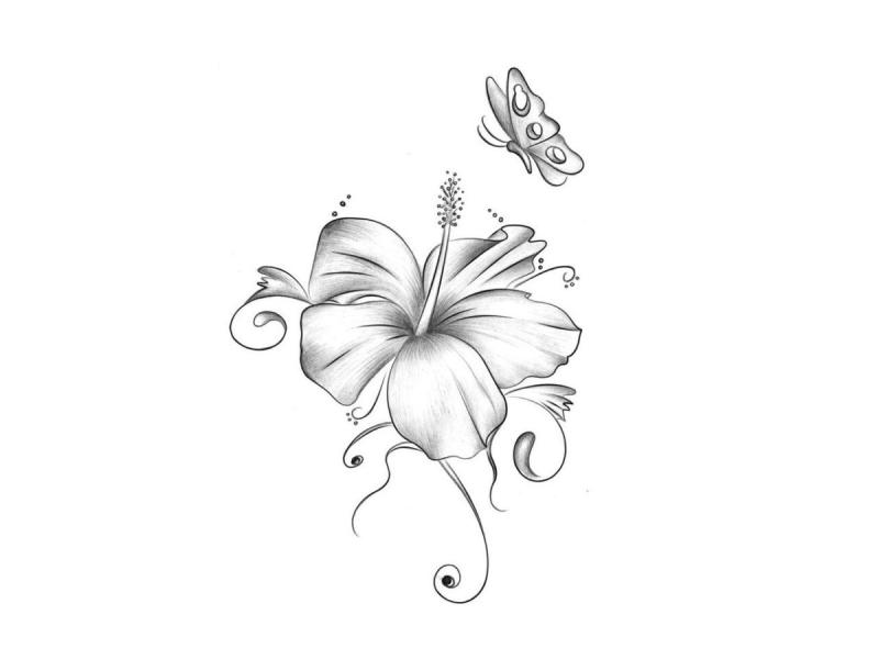 Цветы рисунок