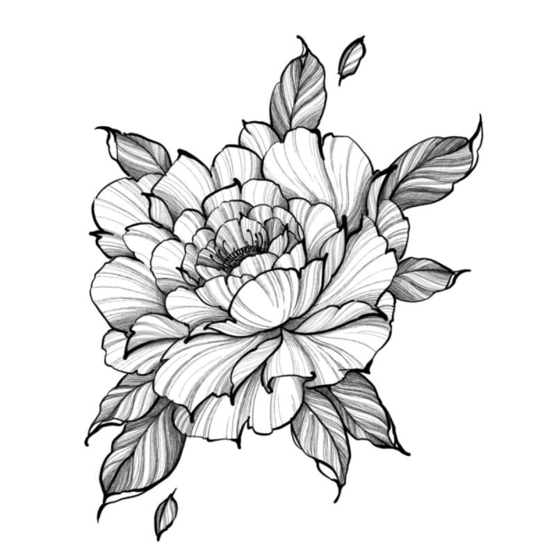 Тату роза эскиз