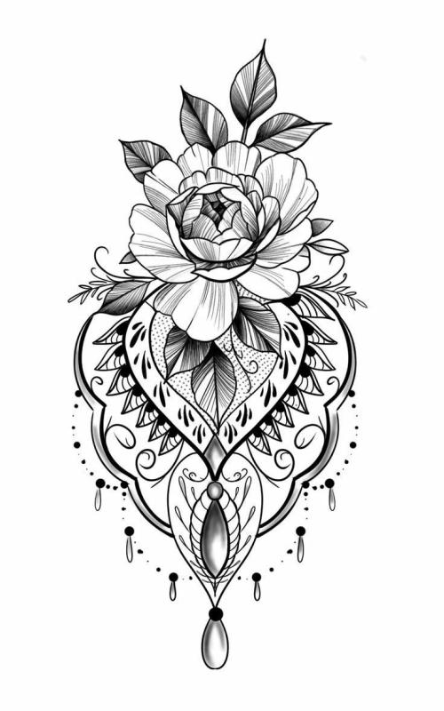 Зарисовки цветов