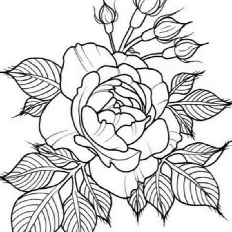 Пионы вип шейдинг