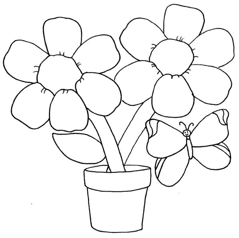 Узамбарская фиалка в живописи