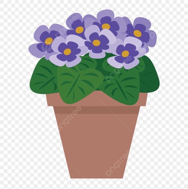 Раскраска фиалка в горшке