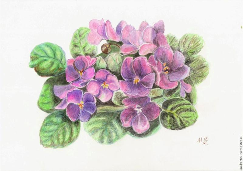 Ветер и фиалка