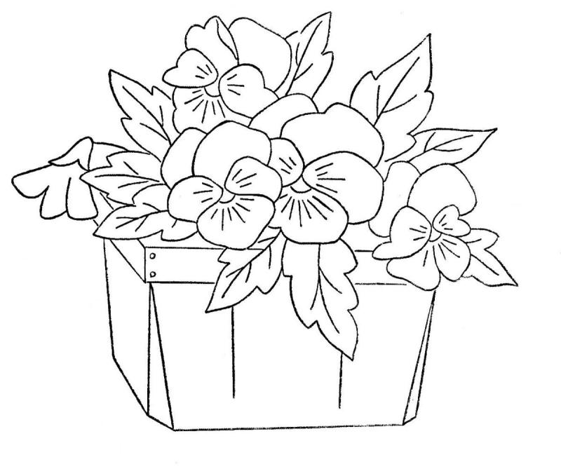 Рисование фиалка в горшке в средней группе