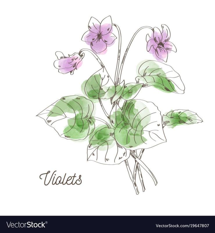 Рисование цветов для дошкольников