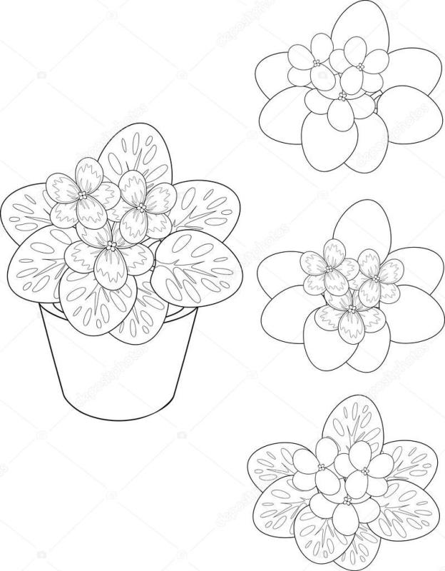 Шаблон фиалка в горшке