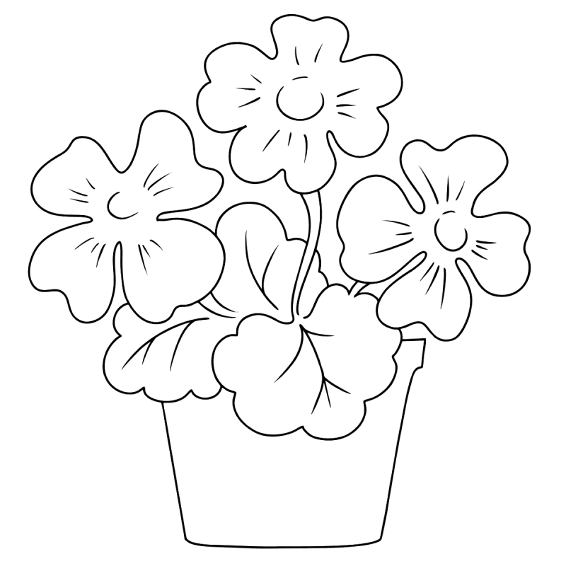 Комнатные растения Графика