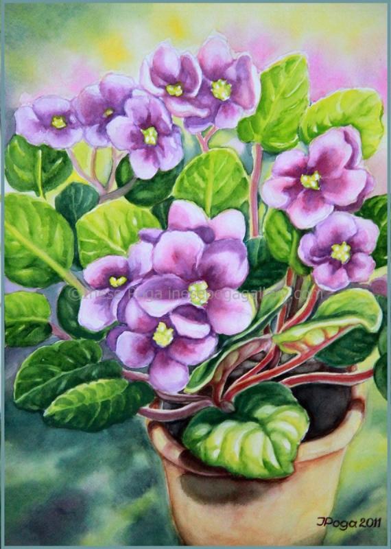 Узамбарская фиалка акварелью