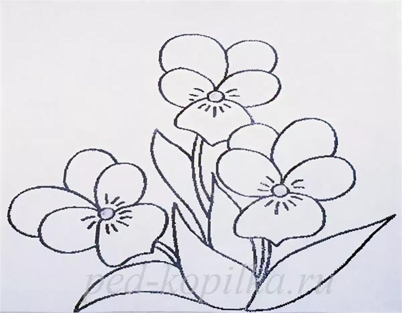 Цветы в горшках