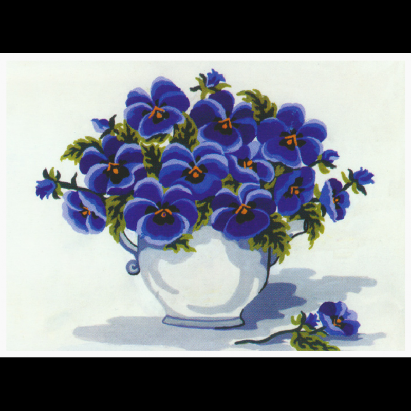 Фиалка узамбарская рис