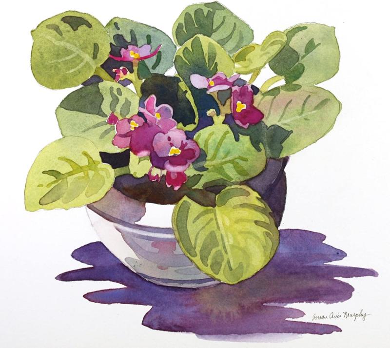 Горшок с цветами акварель