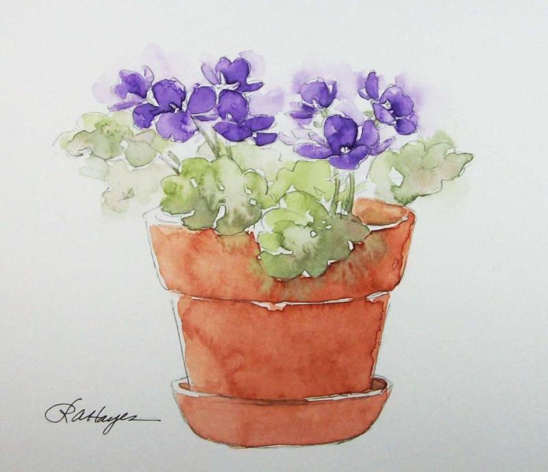 Фиалка Enchanted Watercolor