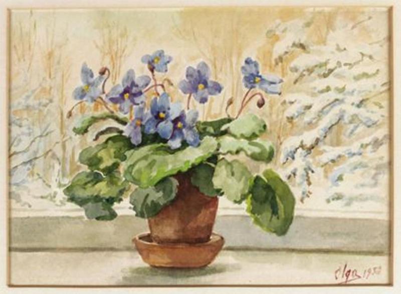 Анютины глазки раскраска