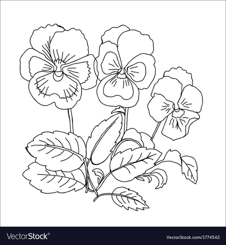 Ваза с цветами раскраска