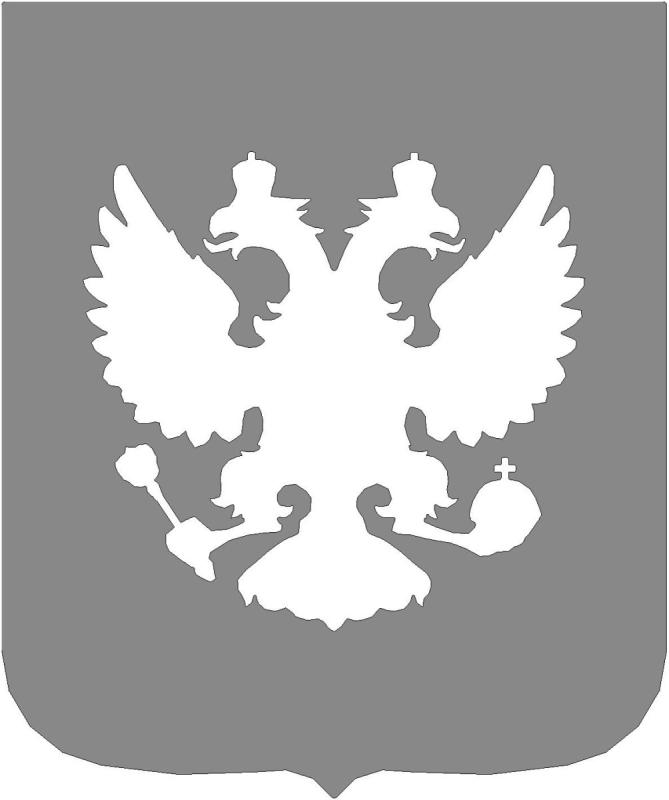 Герб России флаг России раскраски для малышей