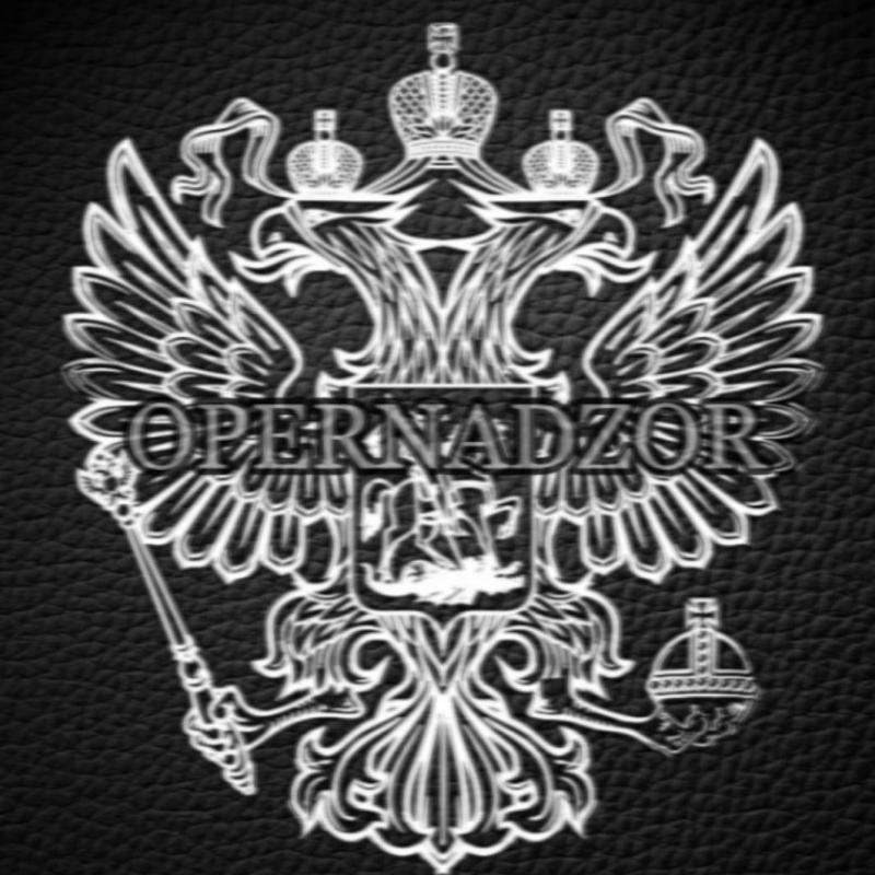 Герб России рисунок карандашом