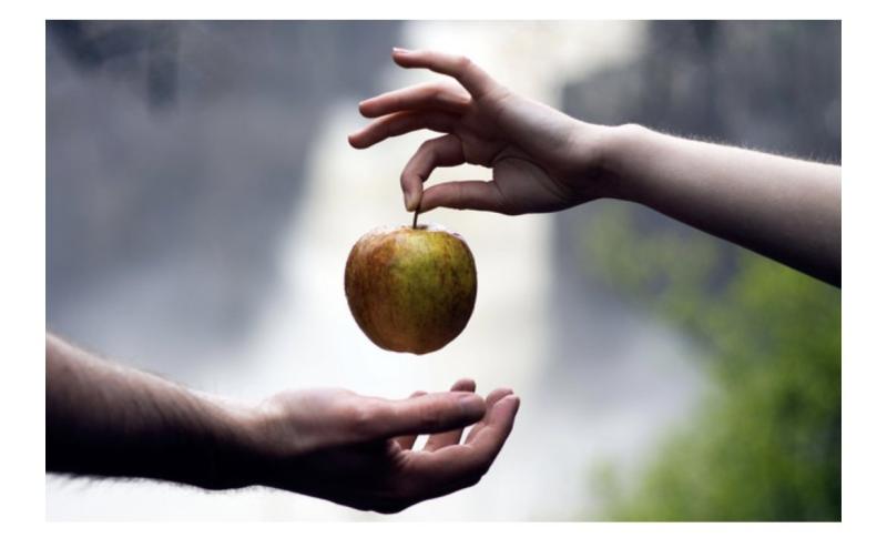 Twilight красное яблоко