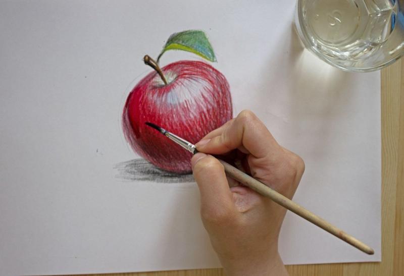 Яблоко и ладонь вектор