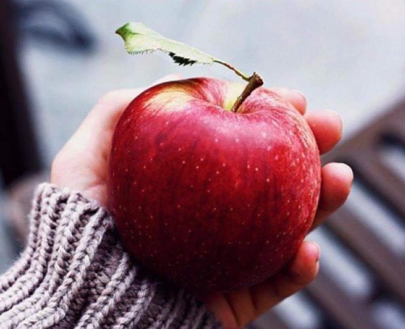 Реалистичное рисование