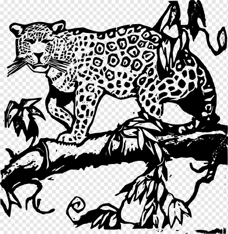 Диего Ягуар разукрашки