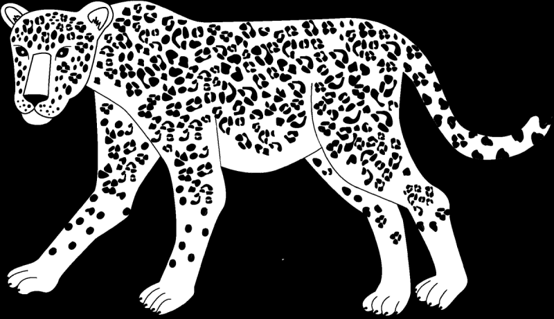 Переднеазиатский леопард раскраска