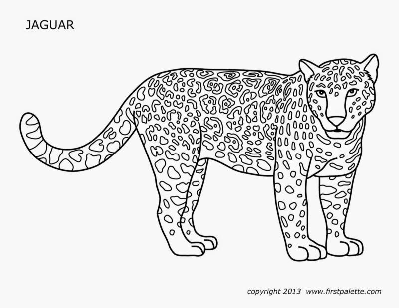 Леопард рисунок карандашом