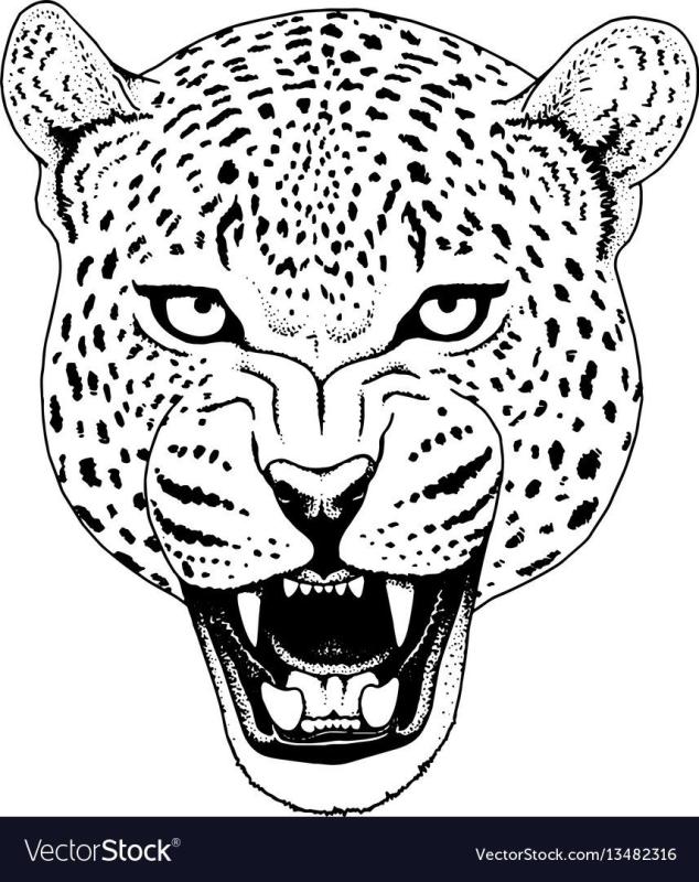 Леопард контурный рисунок