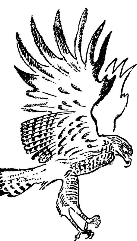 Коршун и голубь