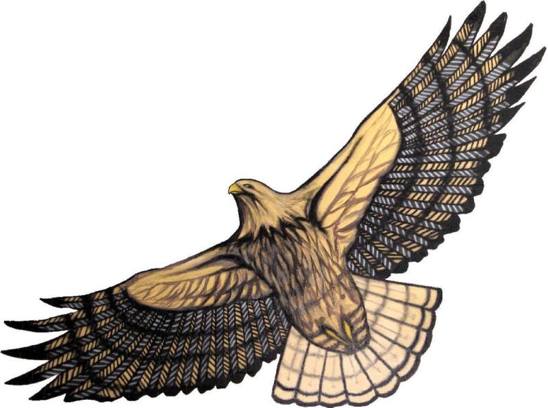 Сокол рисунок