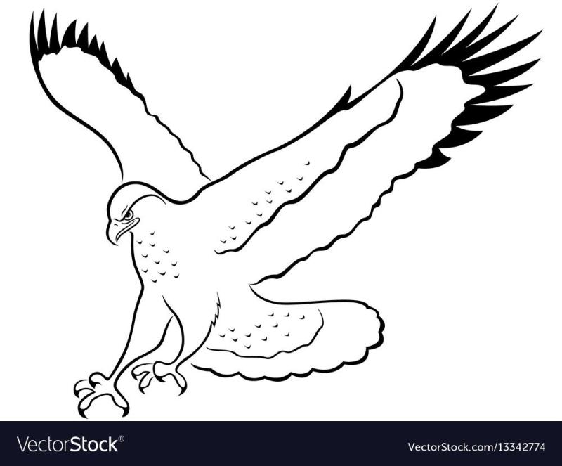 Ястреб контур